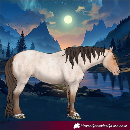 Horse Color:Amber Champagne Roan