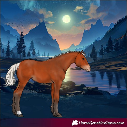 Horse Color:Silver Bay Appaloosa