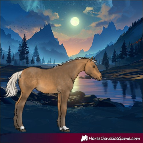 Horse Color:Silver Buckskin 