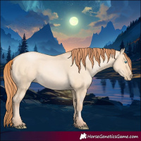 Horse Color:Buckskin Pearl Dun 