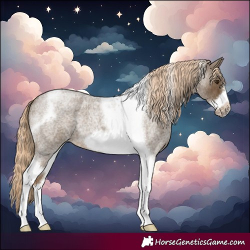 Horse Color:Chocolate Palomino Roan Tobiano Frame 