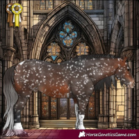 Horse Color:Bay Tobiano Appaloosa