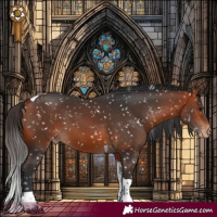 Horse Color:Bay Tobiano Appaloosa 