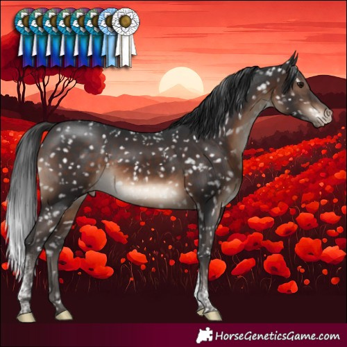 Horse Color:Brown Tobiano Snowcap Rabicano 