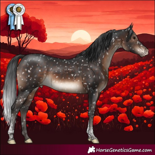 Horse Color:Brown Tobiano Appaloosa Rabicano 