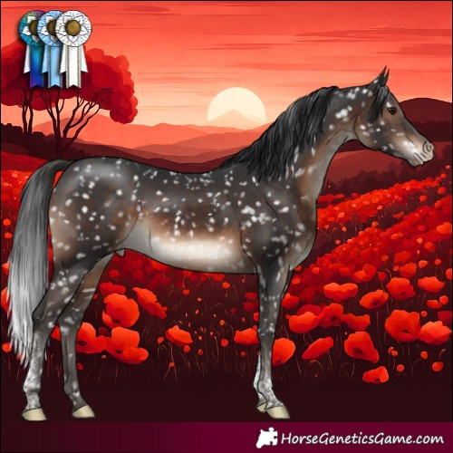 Horse Color:Brown Tobiano Appaloosa Rabicano 