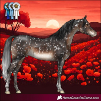 Horse Color:Brown Tobiano Appaloosa Rabicano