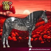 Horse Color:Black Tobiano Snowcap Rabicano