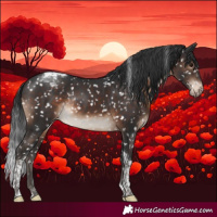 Horse Color:Brown Tobiano Appaloosa Rabicano