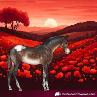 Horse Color:Brown Tobiano Appaloosa Rabicano 
