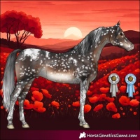 Horse Color:Brown Tobiano Snowcap Rabicano 