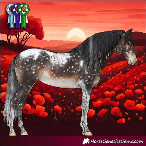 Horse Color:Brown Tobiano Appaloosa Rabicano 