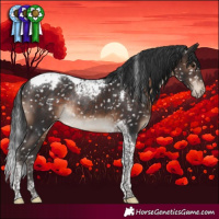 Horse Color:Brown Tobiano Appaloosa Rabicano 