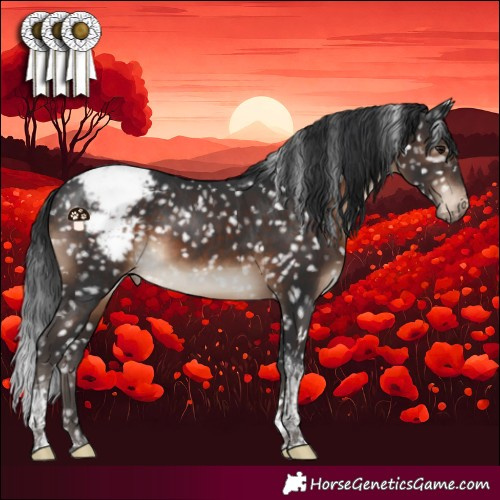 Horse Color:Brown Tobiano Snowcap Rabicano
