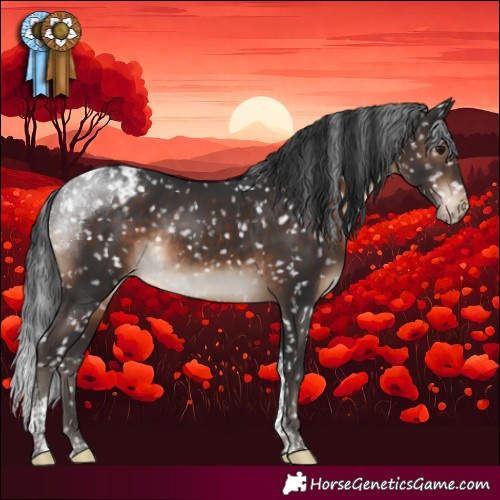 Horse Color:Brown Tobiano Appaloosa Rabicano 