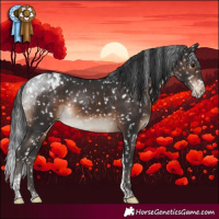 Horse Color:Brown Tobiano Snowcap Rabicano