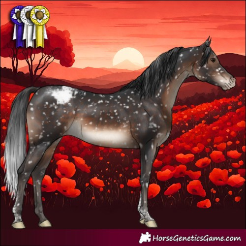 Horse Color:Brown Tobiano Appaloosa Rabicano 