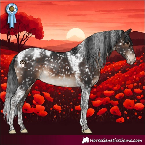 Horse Color:Brown Tobiano Snowcap Rabicano 