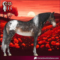 Horse Color:Brown Tobiano Snowcap Rabicano