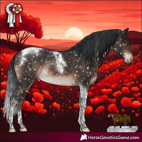 Horse Color:Brown Tobiano Appaloosa Rabicano 