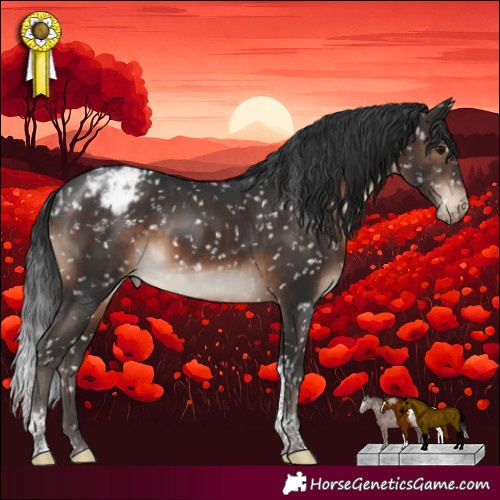 Horse Color:Brown Tobiano Appaloosa Rabicano 