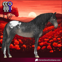 Horse Color:Black Tobiano Appaloosa Rabicano 