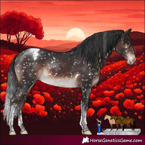 Horse Color:Brown Tobiano Appaloosa Rabicano 