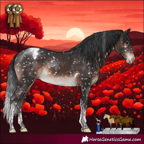 Horse Color:Brown Tobiano Appaloosa Rabicano