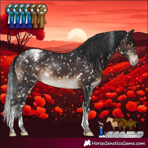 Horse Color:Brown Tobiano Snowcap Rabicano 