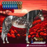 Horse Color:Brown Tobiano Snowcap Rabicano 