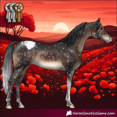 Horse Color:Brown Tobiano Appaloosa Rabicano 