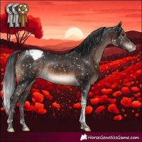 Horse Color:Brown Tobiano Appaloosa Rabicano