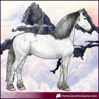 Horse Color:Gray White Spotted Black Sabino Blanket Rabicano 