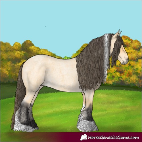 Horse Color:Buckskin Roan Tobiano 