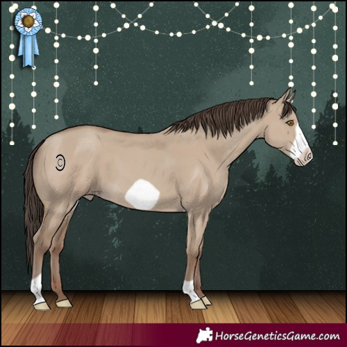 Horse Color:Classic Champagne Dun Frame 