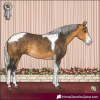 Horse Color:Silver Buckskin Sabino Tobiano Rabicano 