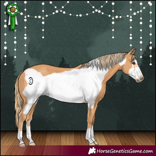 Horse Color:Chestnut Frame