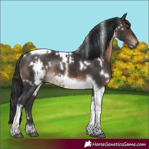 Horse Color:White Spotted Brown Tobiano Rabicano 