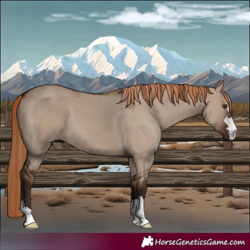 Horse Color:Liver Red Dun 