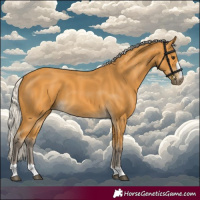 Horse Color:Silver Buckskin 