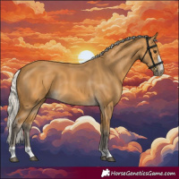Horse Color:Silver Buckskin 