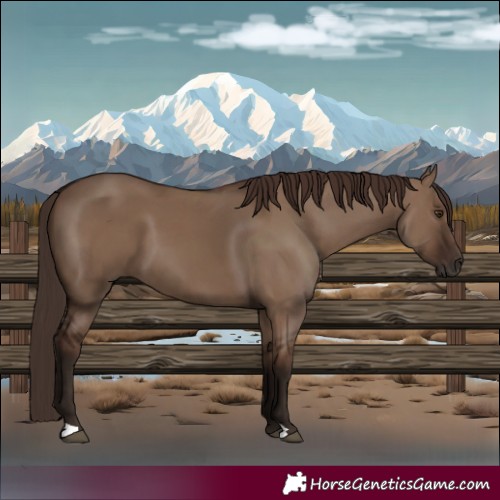 Horse Color:Liver Red Dun 