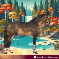 Horse Color:Buckskin