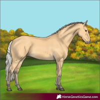 Horse Color:Silver Buckskin 