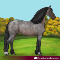 Horse Color:Brown Roan