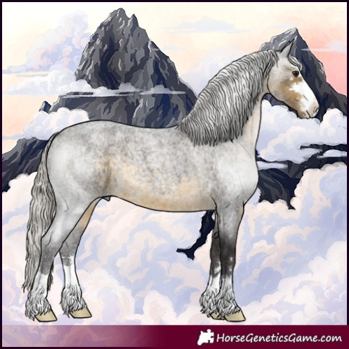 Horse Color:Silver Buckskin Roan