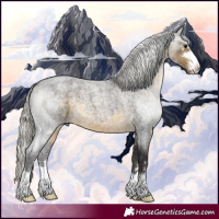 Horse Color:Silver Buckskin Roan 