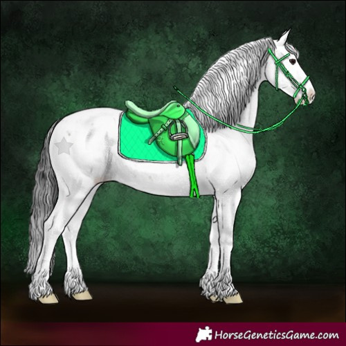 Horse Color:Brown Sabino 