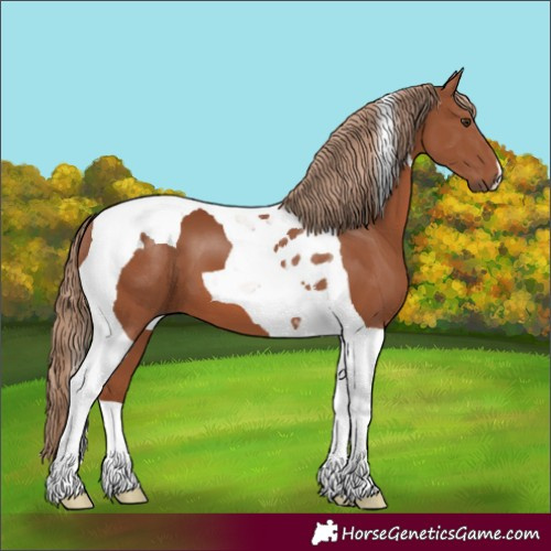 Horse Color:Chestnut Tobiano