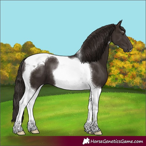 Horse Color:Liver Chestnut Tobiano 